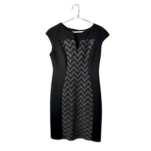 Connected Apparel Women's Black Bodycon Dress - Size 6